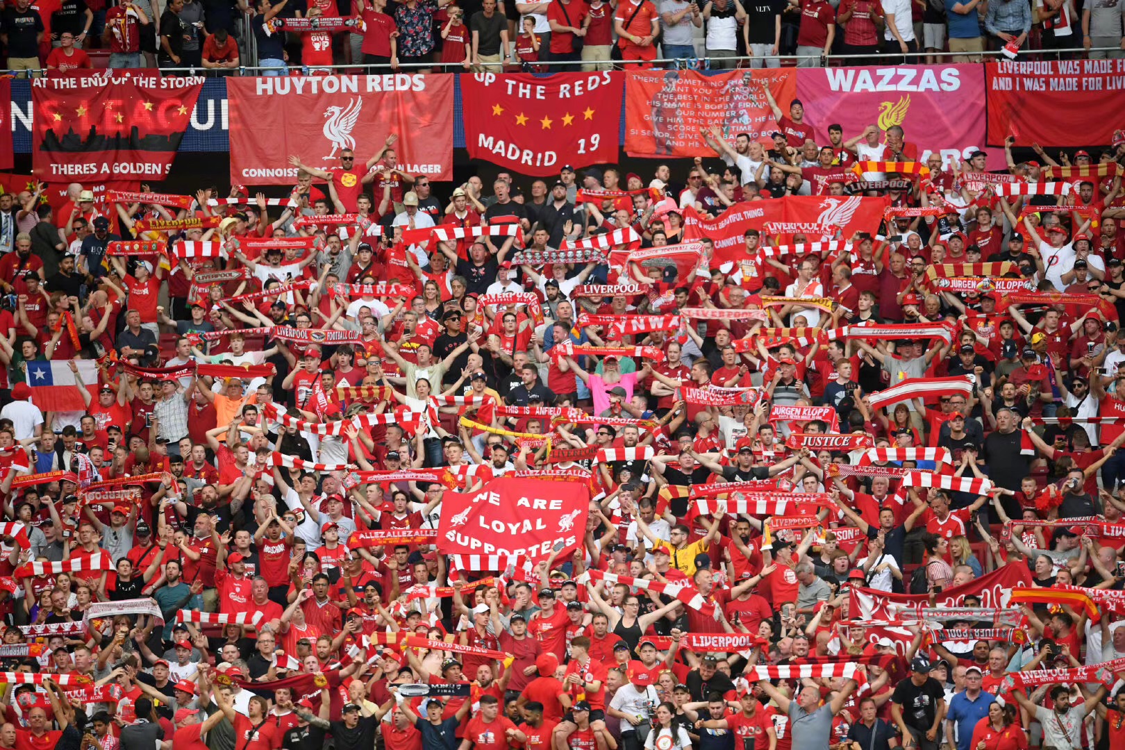 名宿：尼科-帕斯像托蒂，他是意甲最好的球员理应回皇马效力（名宿盛赞尼科-帕斯像托蒂：意甲第一人，应回归皇马效力）